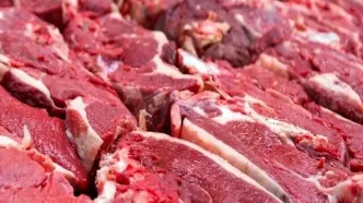 واردات گوشت؛ نسخه موقت یا راه‌حل پایدار؟