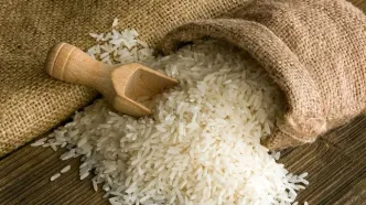 چرا قیمت برنج گران شد؟