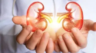 علائم سنگ کلیه چیست و چه افرادی بیشتر در معرض ابتلا هستند؟