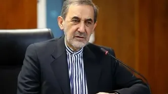 ولایتی: اکنون نوبت مسئولین است