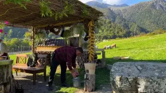 ببینید؛ غذای روستایی در آذربایجان؛ برداشت قارچ های وحشی کوهستان و پخت غذای سنتی با آ نها