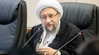 آملی لاریجانی: در جنگ ۱۲ روزه افرادی از نظام دفاع کردند که به چهره شان نمی آمد
