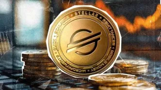 رشد استلار با حمایت بازار و احتمال همکاری با پی‌پال!