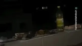 ببینید؛ شام در میان صدای مرگ