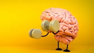 این ترکیب غذایی سبب تقویت مغز می‌شود