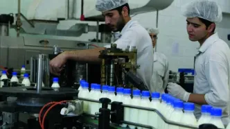 لبنیات به قیمت‌های قبل بازمی‌گردد