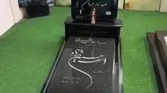 ببینید؛ شعرخوانی پرویز پرستویی برای الهه حسین‌نژاد
