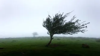 وزش باد و رشد ابر در پنج روز آینده در تهران