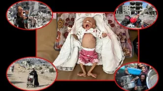 گزارش‌های هولناک الجزیزه از گرسنگان غزه: قحطی بیداد می‌کند، کودکان در برابر دوربین‌ها می‌میرند