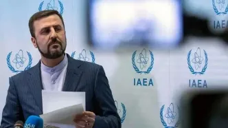 دیدار غریب‌آبادی با ۱۰ عضو غیردائم شورای امنیت