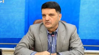 مشکلات زیرساختی بر سامانه جامع تجارت تاثیر می‌گذارد
