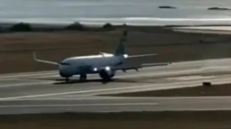 لحظه برخورد بوئینگ 737 با سه راس گوزن!