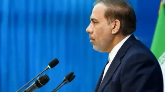 سخنگوی قوه قضائیه: شبکه‌های دشمن در داخل شناسایی شدند
