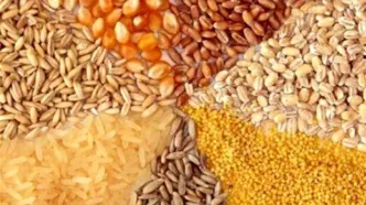 قیمت مصوب جدید نهاده دام، روغن و شکر اعلام شد