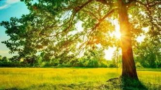 هواشناسی تهران؛ پیش‌بینی وضعیت هوای تهران در 17 تیر