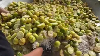 ببینید؛ غذای روستایی در هند؛ تهیه ترشی با 200 کیلو لیمو توسط مادربزرگ روستایی