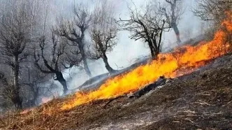 تشکیل پرونده قضایی برای آتش‌سوزی کوه آبیدر سنندج