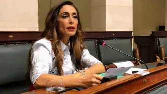 «تهران قصد ربایش مرا داشت»؛ ماجرای ادعای دریا صفایی و واکنش سفیر ایران