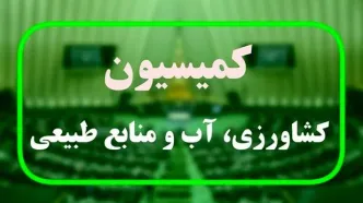 در جلسه عضو کمیسیون کشاورزی با ۲ مسئول دولتی چه گذشت؟