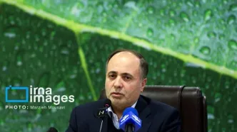 وزیر جهاد کشاورزی: نرخ برنج ایرانی به تعادل می‌رسد