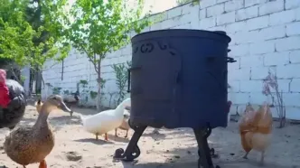 پخت بره کامل با سبزیجات در آذربایجان؛ هنر آشپز مشهور روستایی