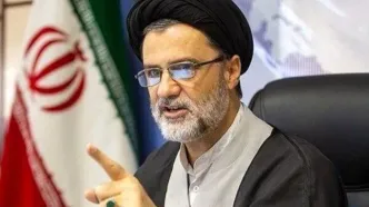 نبویان: از کفش بازرسان آژانس ریزتراشه جاسوسی کشف شده است