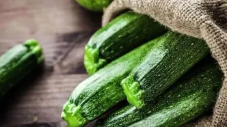 آشنایی با انواع کدو و موارد مصرف آن ها + عکس
