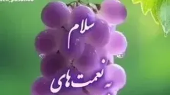 فال و طالع بینی روزانه 6 مرداد