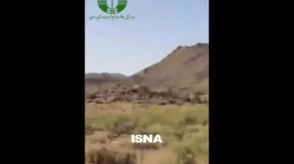 مشاهده همزمان 5 توله یوز در توران/ احتمالا مهشاد و فرزندانش هستند