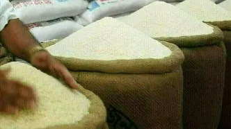 کاهش قیمت برنج تا دو هفته آینده