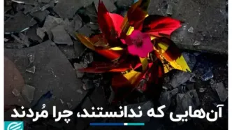 کودکانی که در جنگ 12 روزه به شهادت رسیدند +فیلم