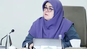 مهاجرانی: براساس منافع ملی درباره مذاکرات تصمیم می گیریم