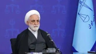 انتقاد رئیس قوه‌قضائیه از تاخیر در بررسی پرونده‌های جاسوسان رژیم صهیونیستی