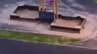 فیلم هجوم گسترده موش‌ها به سن پترزبورگ