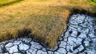 گلستان در آستانه فاجعه اقلیمی!