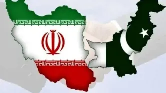 وزیر کشور پاکستان وارد تهران شد