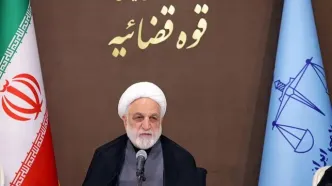 محسنی اژه‌ای: جرمِ «همکاری با دشمن» متفاوت از جرم «جاسوسی» است