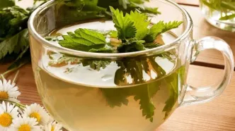 همه خواص دمنوش گزنه + طرز تهیه