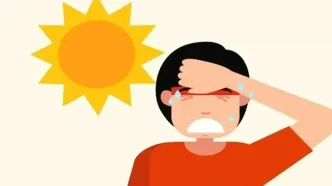 نوشیدنی‌های طراوت‌بخش تابستانی/ کم‌کالری، بدون قند، سرشار از سلامتی