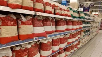 شایعات کمبود برنج صحت ندارد/ بازار رو به تعادل است