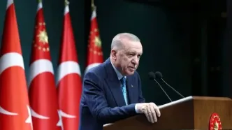 دیدار حزب حامی کردهای ترکیه با اردوغان