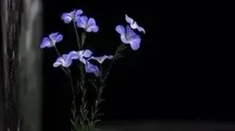 فال ابجد مرداد 1404 / روز پنجم