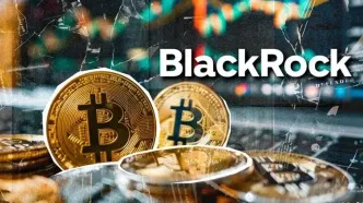 رقابت سنگین در بازار ETFهای بیت‌کوین؛ بلک‌راک با انباشت ۷۰۰ هزار BTC رکورد زد!