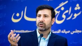 سخنگوی شورای نگهبان: طرح تشدید مجازات جاسوسی قابل اصلاح است/ تعلیق همکاری با آژانس لازم‌الاجرا شد