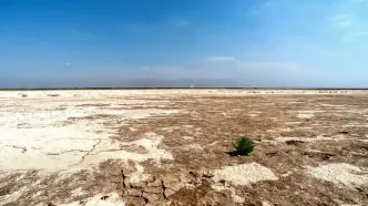 تالاب صالحیه، منشأ گرد و غبار این روزهای تهران کجاست؟