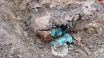 کوزه‌ای با 7 هزار سکه باستانی از دل یک زمین کشاورزی بیرون آمد