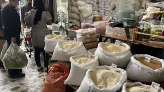 برنج ایرانی را تا ۲ هفته دیگر با این قیمت بخرید