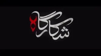 سریال «شکارگاه» با بازی پرویز پرستویی از چهارشنبه ۱۱ تیرماه در فیلیمو