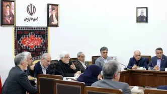 تاکید عارف بر ضرورت جذب سرمایه‌گذاری خارجی و ایرانیان خارج از کشور برای تحقق اهداف برنامه هفتم پیشرفت