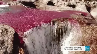 تنها رودخانه رنگین‌کمانی در جهان